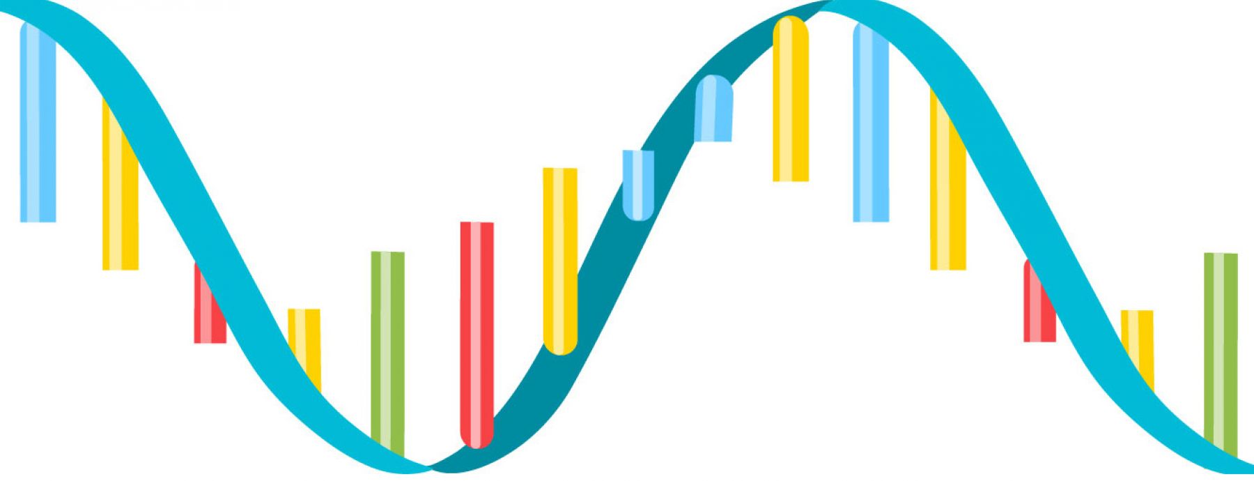 شكل الحمض rna