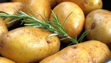 تخزين البطاطس موسميا