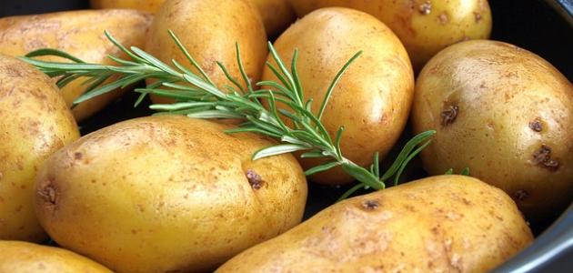 تخزين البطاطس موسميا