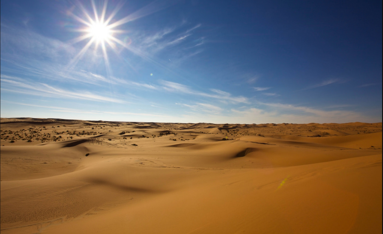 ما هي الصحراء ومميزتها وانواعها وما اهميتها للنظام البيئي