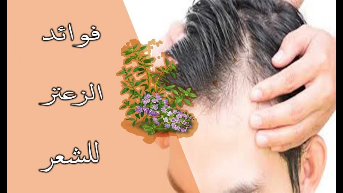 الزعتر للشعر