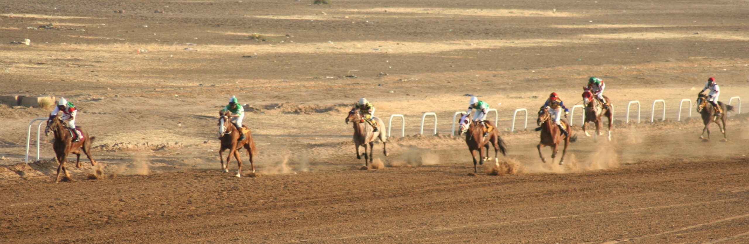 الفروسية السودانية