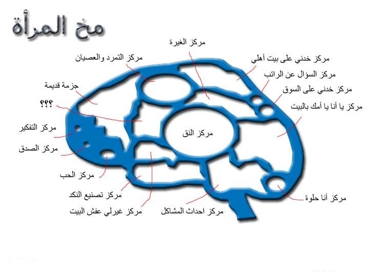 مخ المرأة