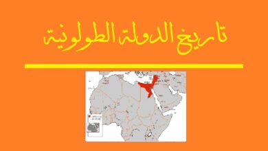 تاريخ الدولة الطولونية