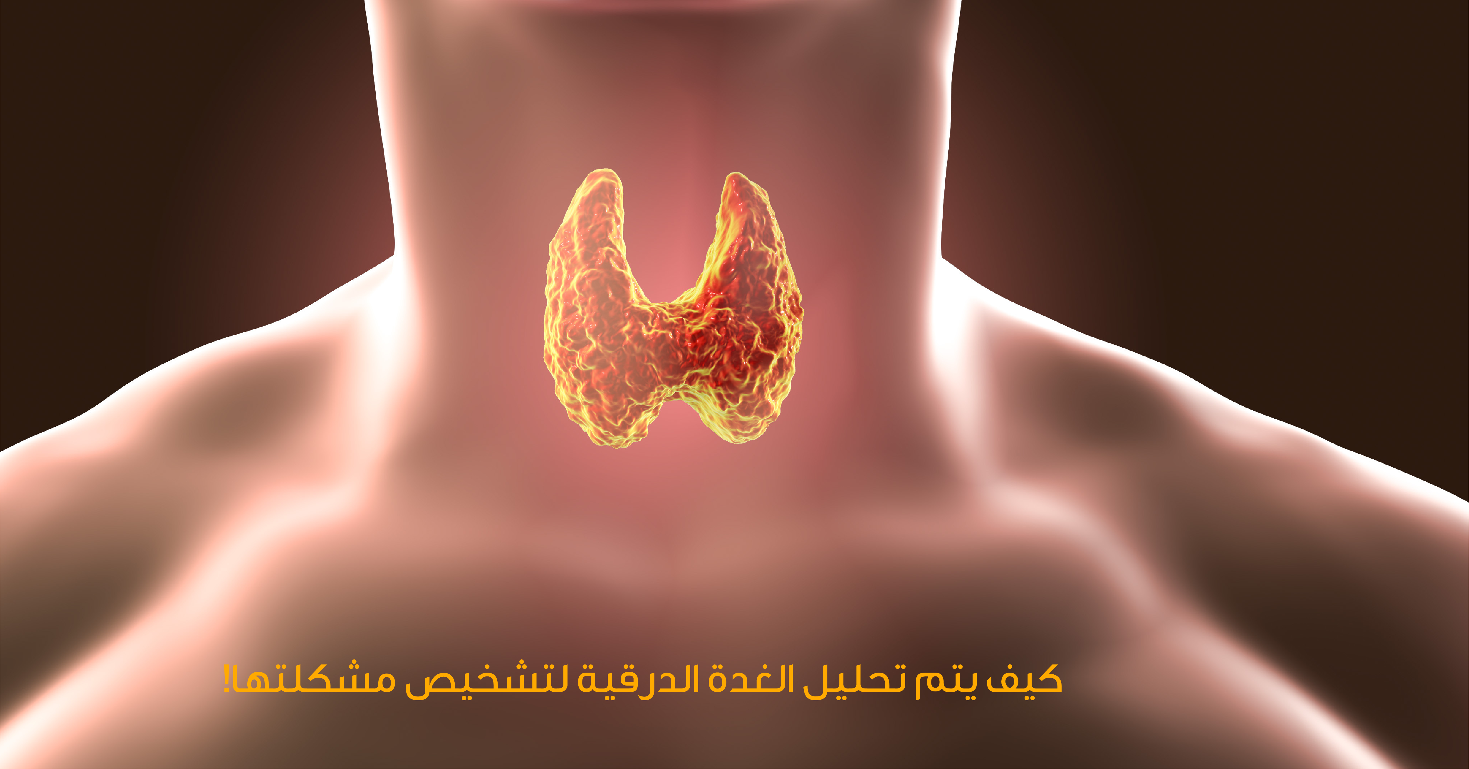 الغدة الدرقية