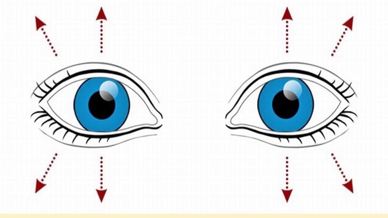 معلومات طبية عن العين
