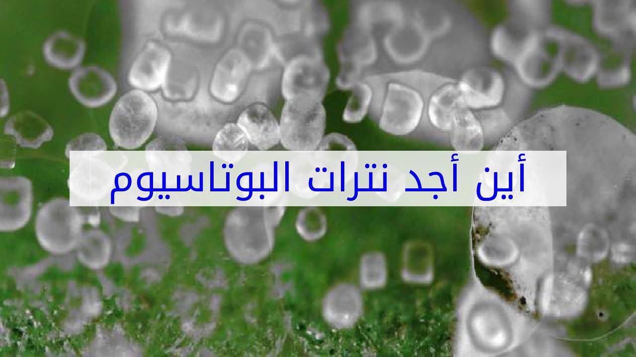 أين أجد نترات البوتاسيوم