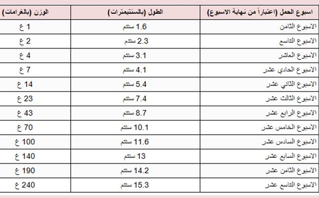 وزن الجنين اسبوعيا