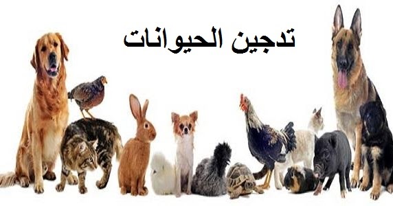 انواع الحيوانات المدجنة