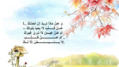رسائل حب رومانسي للحبيب.