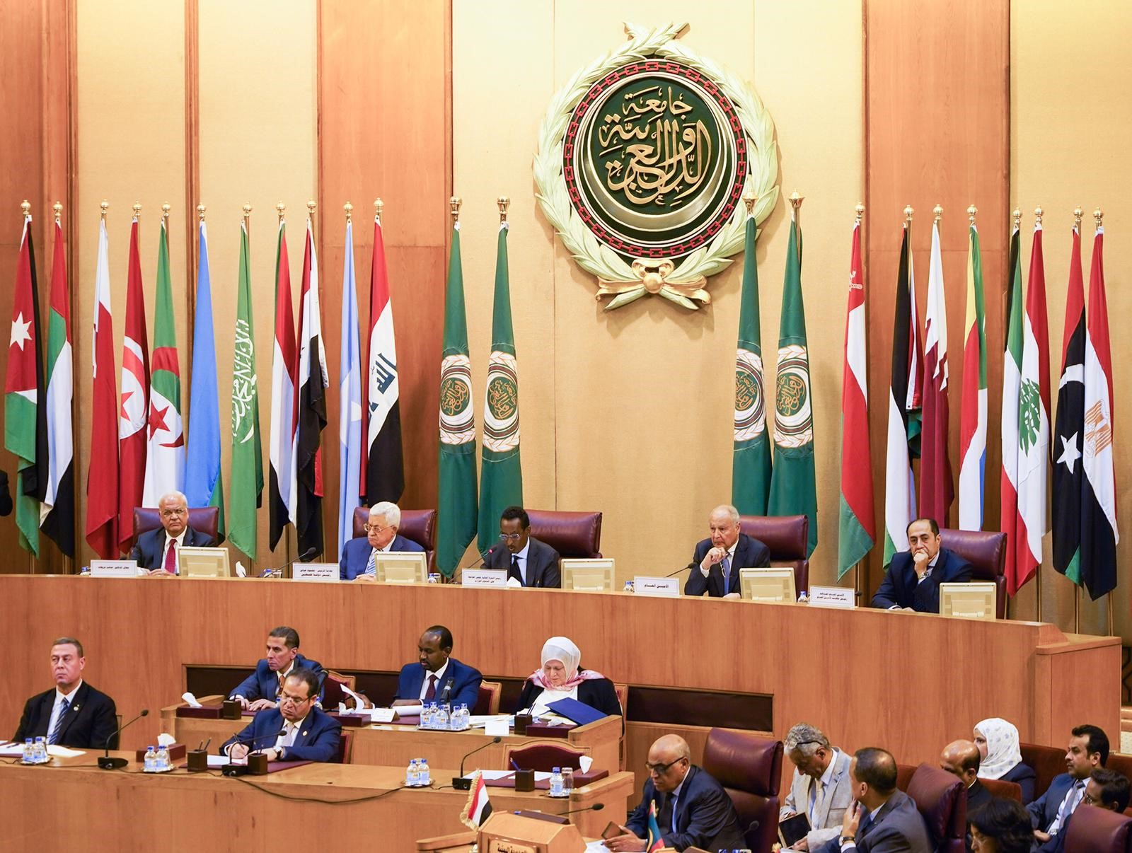 يقصد بالعالم العربي الدول الأعضاء في جامعة الدول العربية وعددها