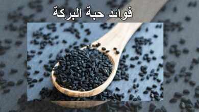 فوائد حبة البركة