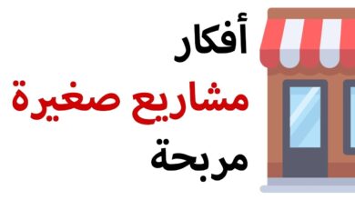 أفكار مشاريع صغيرة مربحة