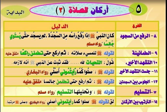 كم عدد اركان الصلاة