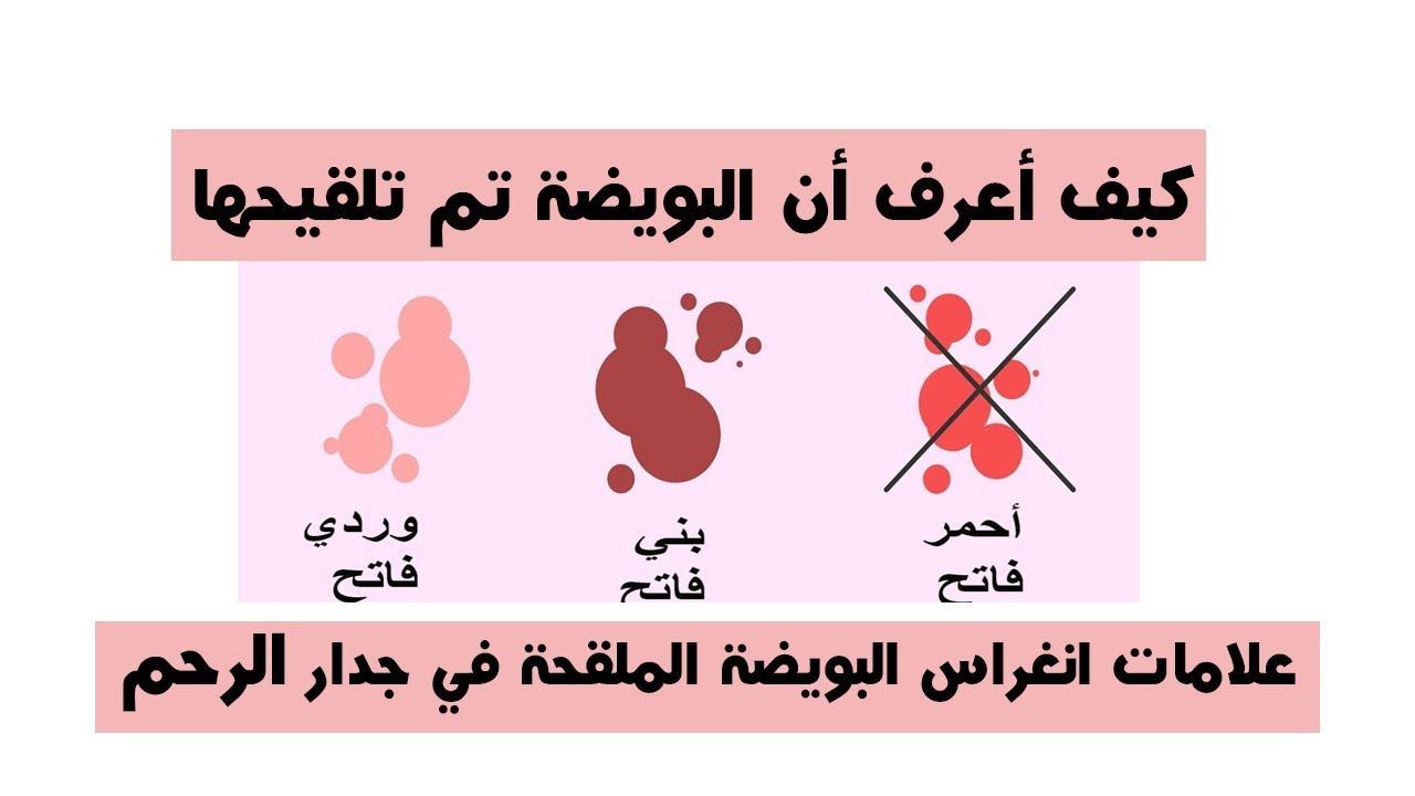 معلومات رائعة