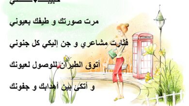 احلى قصيدة حب