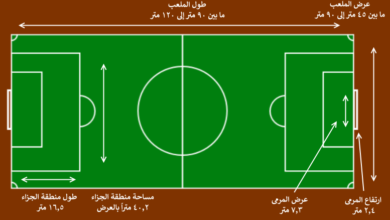 طول و عرض و مساحة الملعب.