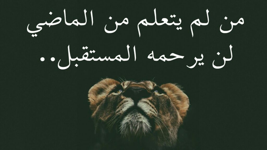 حكم معبرة