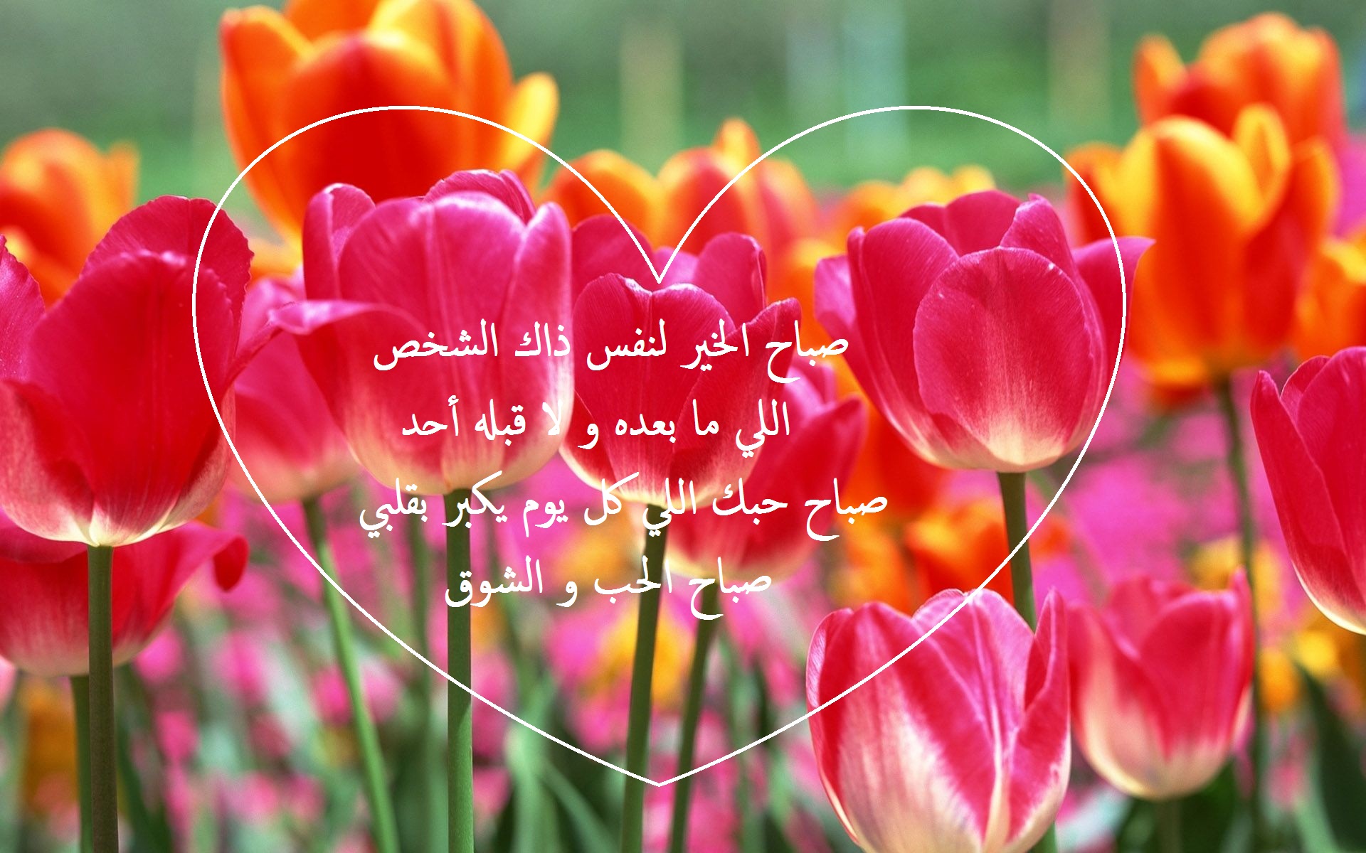 مسجات شوق و حب صباحية.