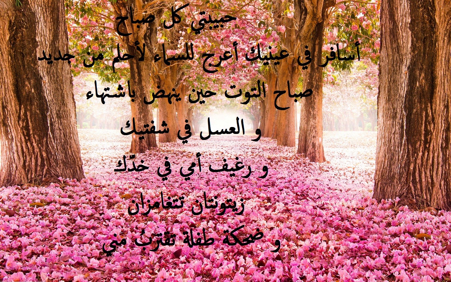  خواطر و تحيات صباحية رومانسية.