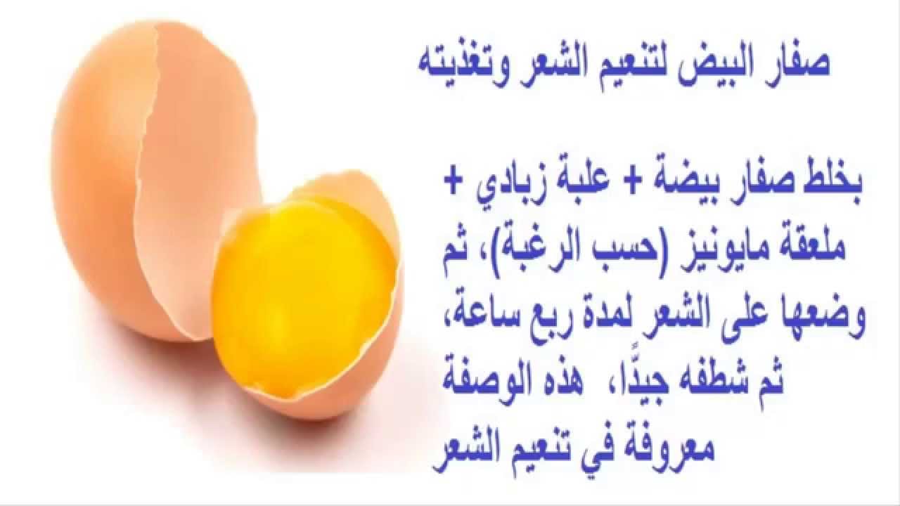 فوائد البيض للشعر