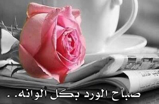 رسائل صاحية رومانسية