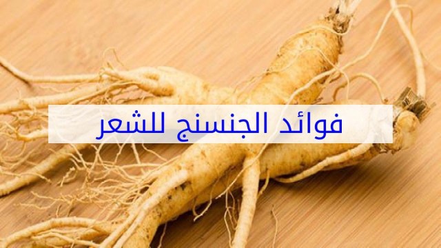 نبات الجنسنج