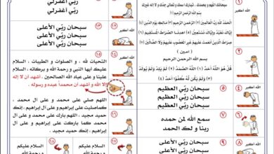 كيفية الصلاة، تعلم كيف تصلي بالصور.