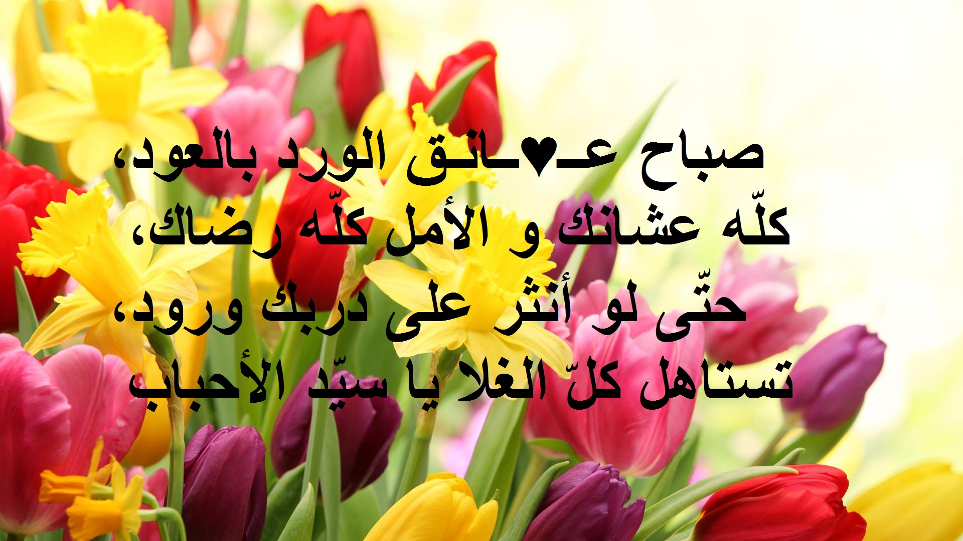 رسائل قصيرة صباح الخير