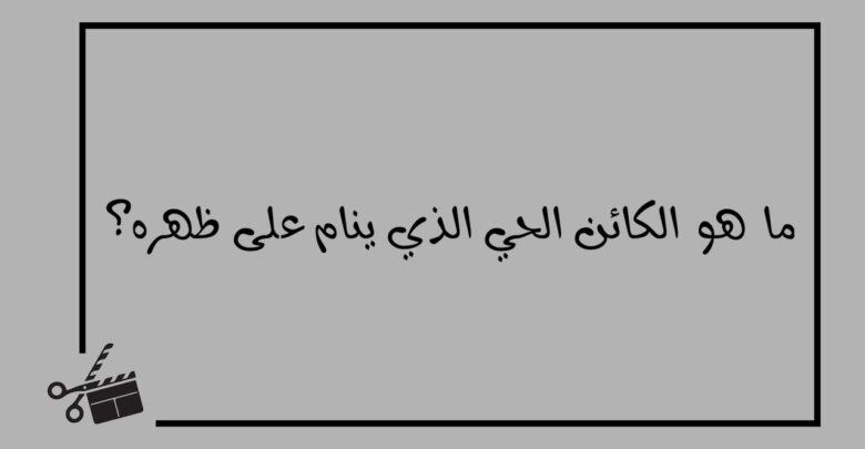 الوحيد الذي ينام على ظهره