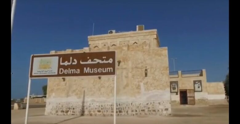متحف دلما