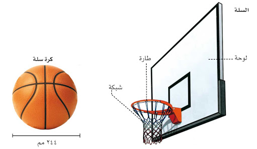 معلومات عن كرة السلة
