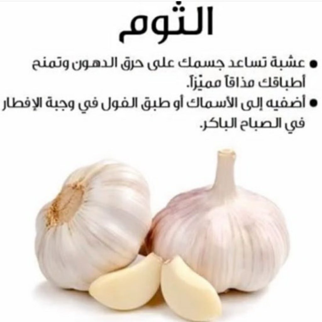 فوائد الثوم