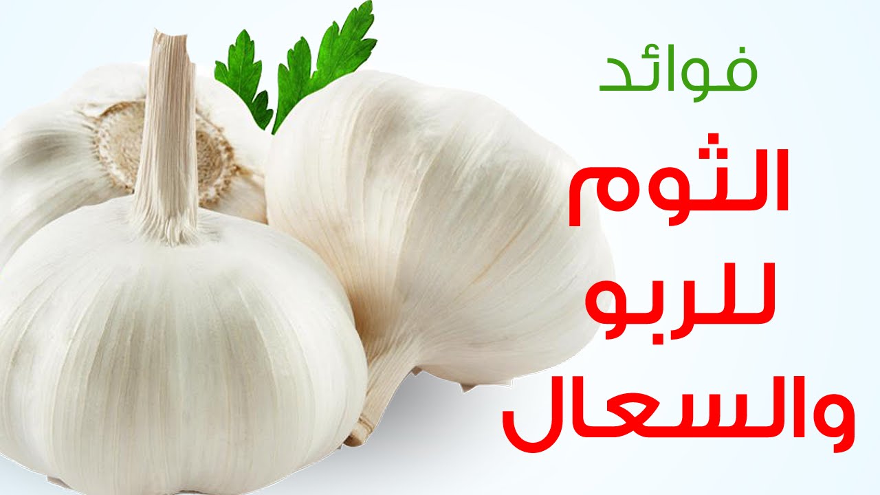 فوائد الثوم للربو والسعال