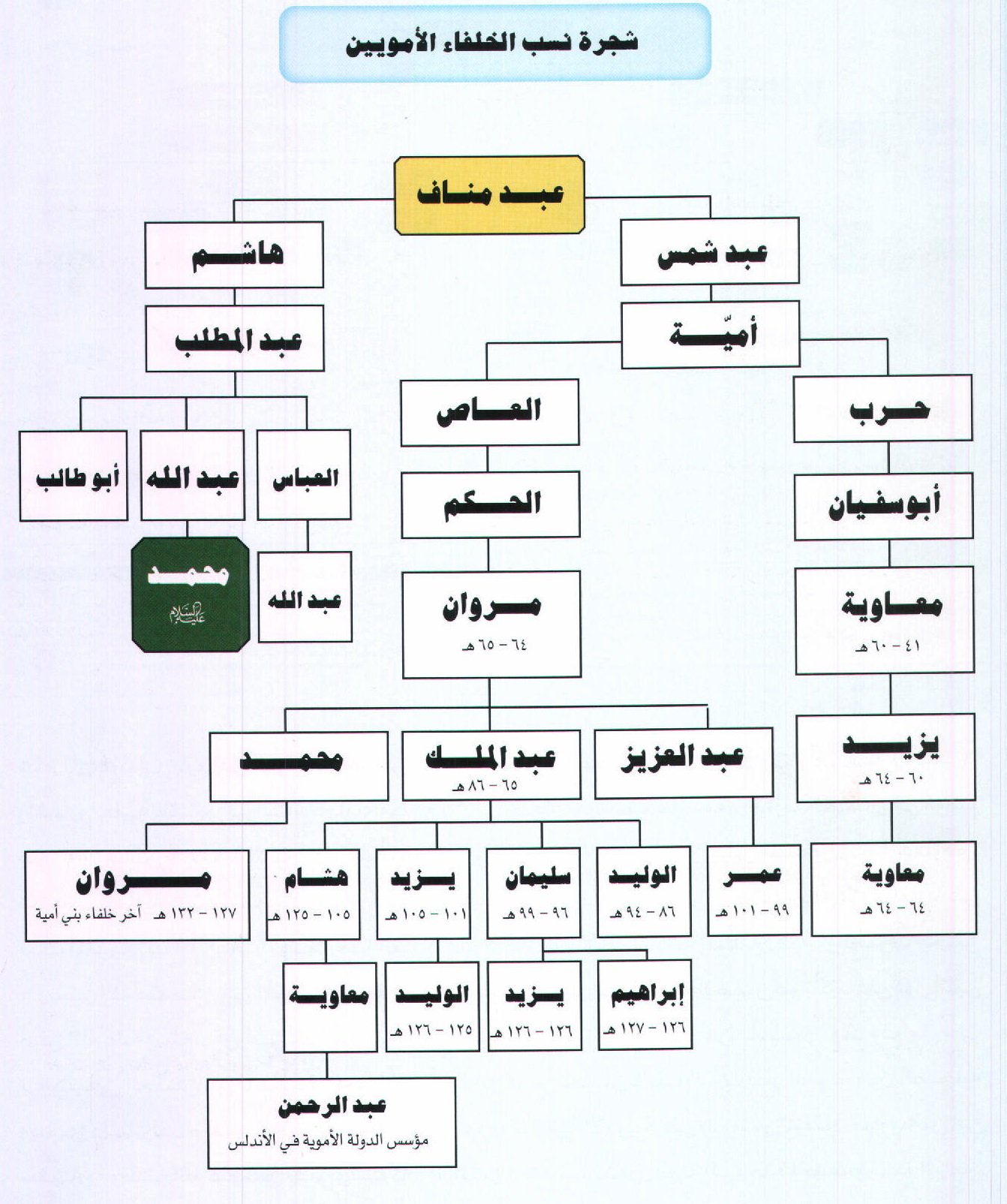 خلفاء بني اميه عدد كم عدد