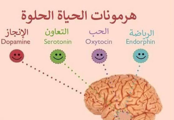 هرمونات الحياة