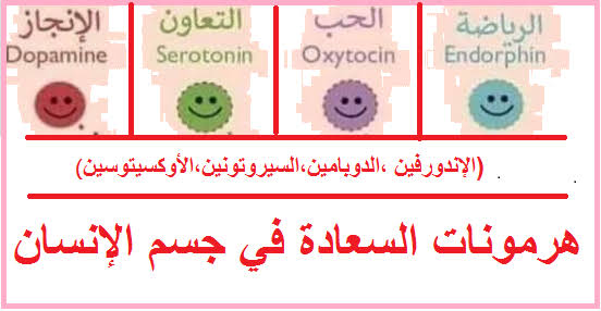 هرمونات السعادة في الجسم