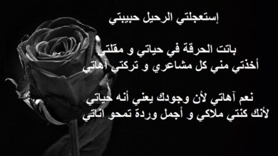 شعر وداع الحبيب