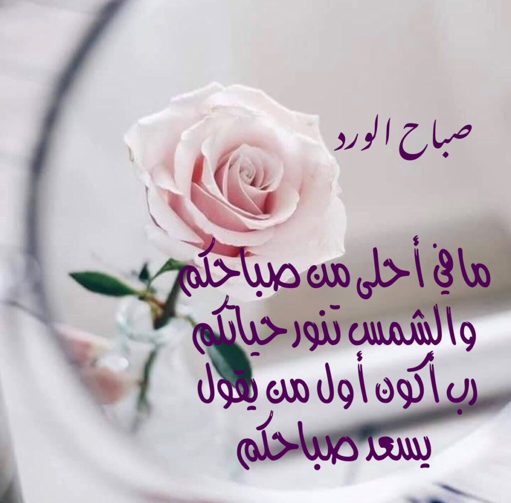 انت الورد