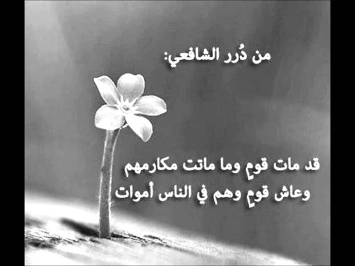 من درر الإمام الشافعي