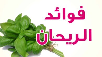 فوائد الريحان