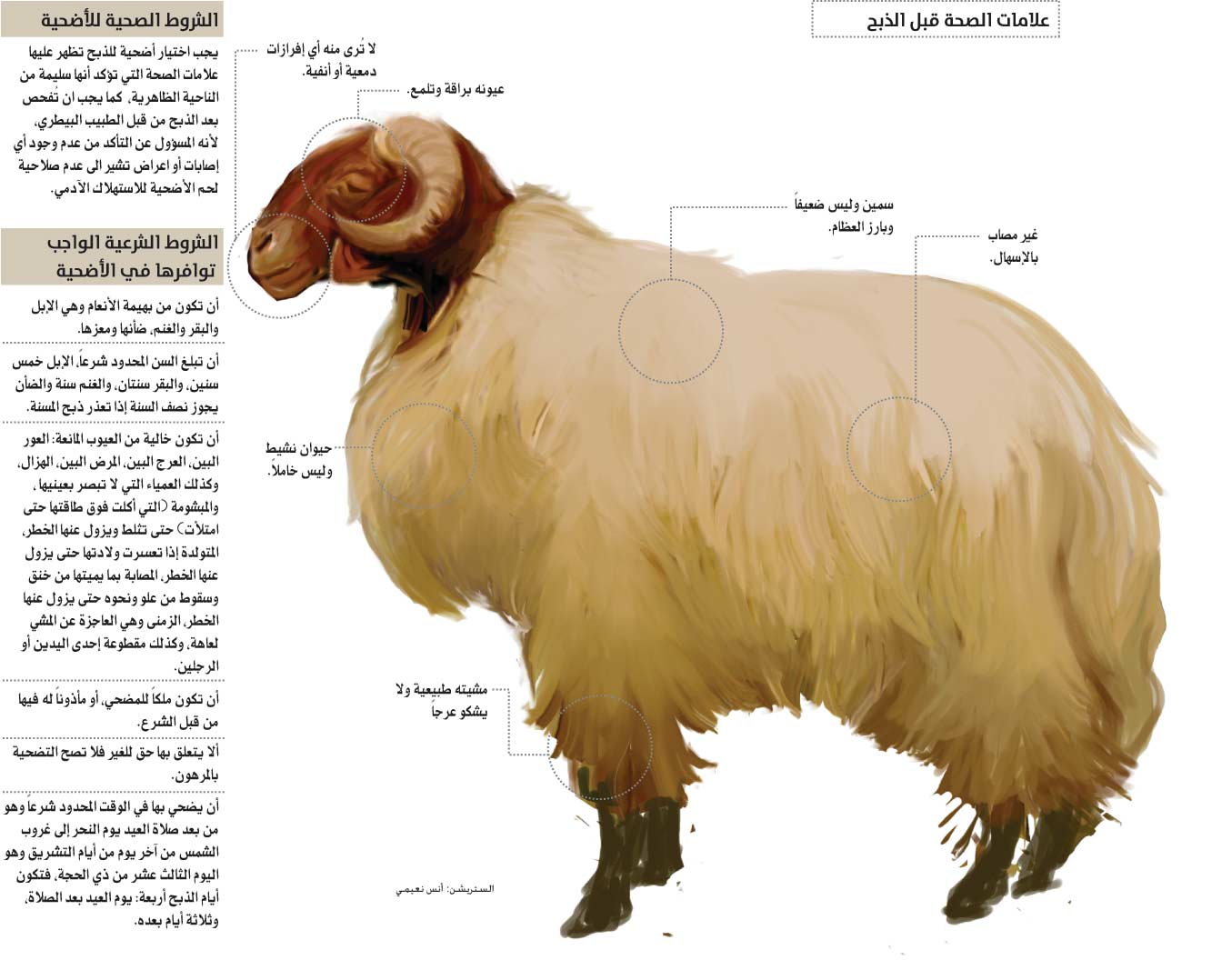 شروط الأضحية