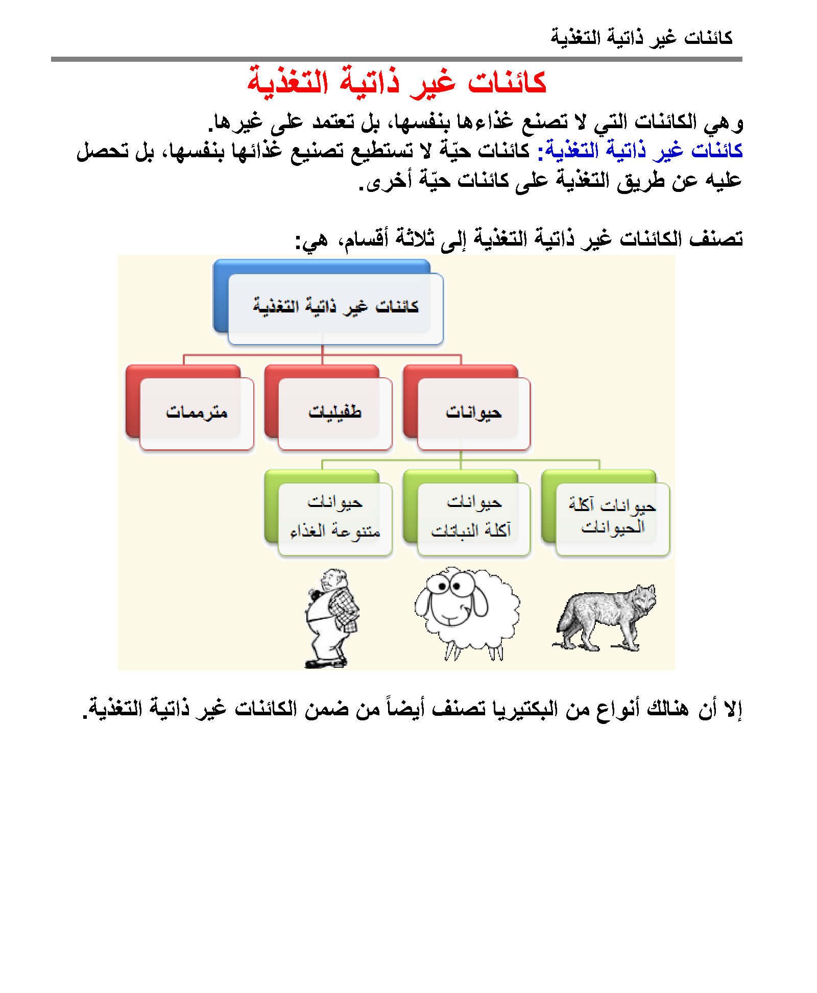 معلومات مفيدة