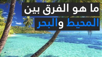 معلومات عن البحار والمحيطات