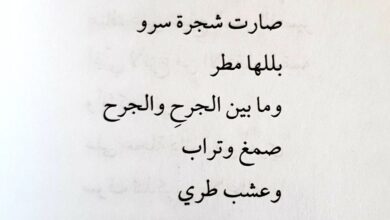 قصيدة مكتوبة عن المرأة.