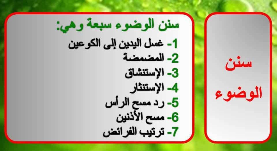 سنن الوضوء