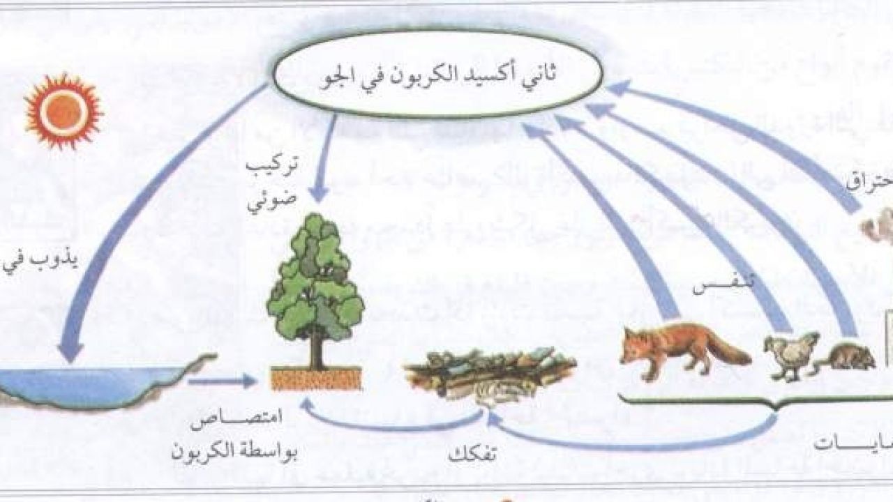 ثاني أكسيد الكربون في الجو