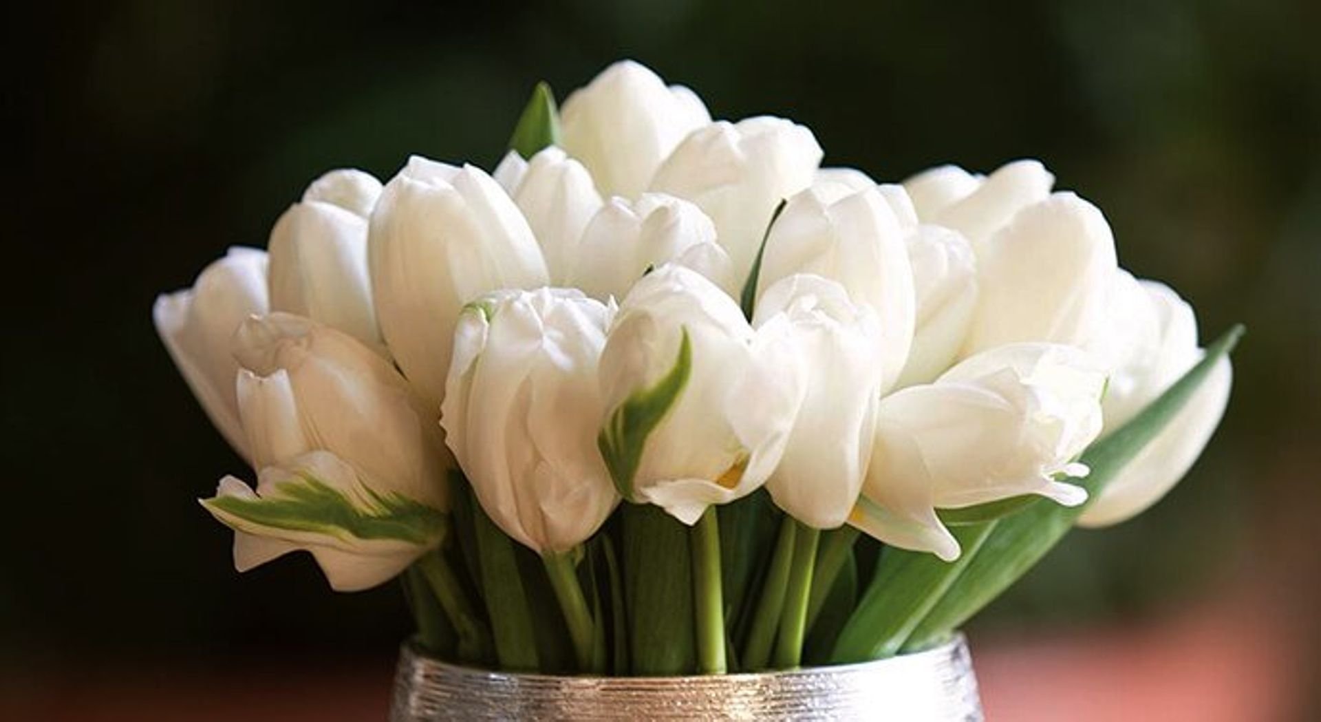 معنى الوردة البيضاء وما هي أنواع الورود