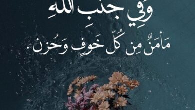 حكم ونصائح