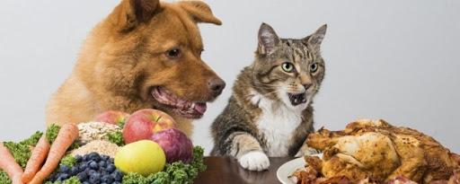 ماذا تأكل الكلاب و القطط.